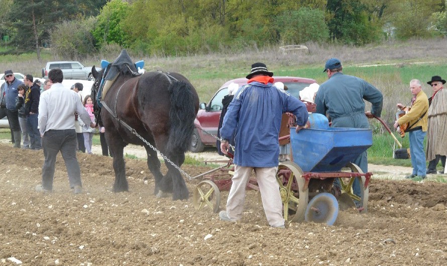 Travail dans un bel lan